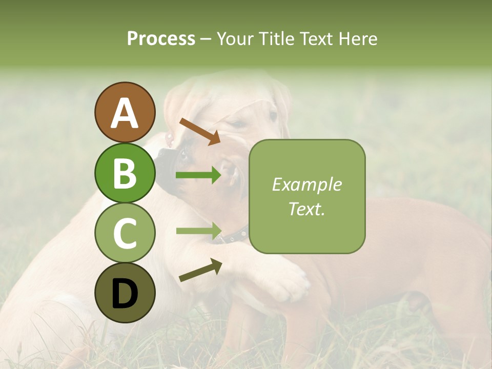 Puppy Grass Purebred PowerPoint Template