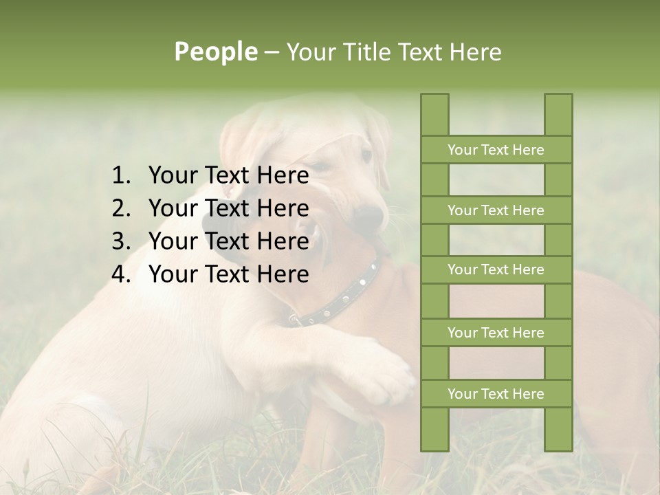 Puppy Grass Purebred PowerPoint Template