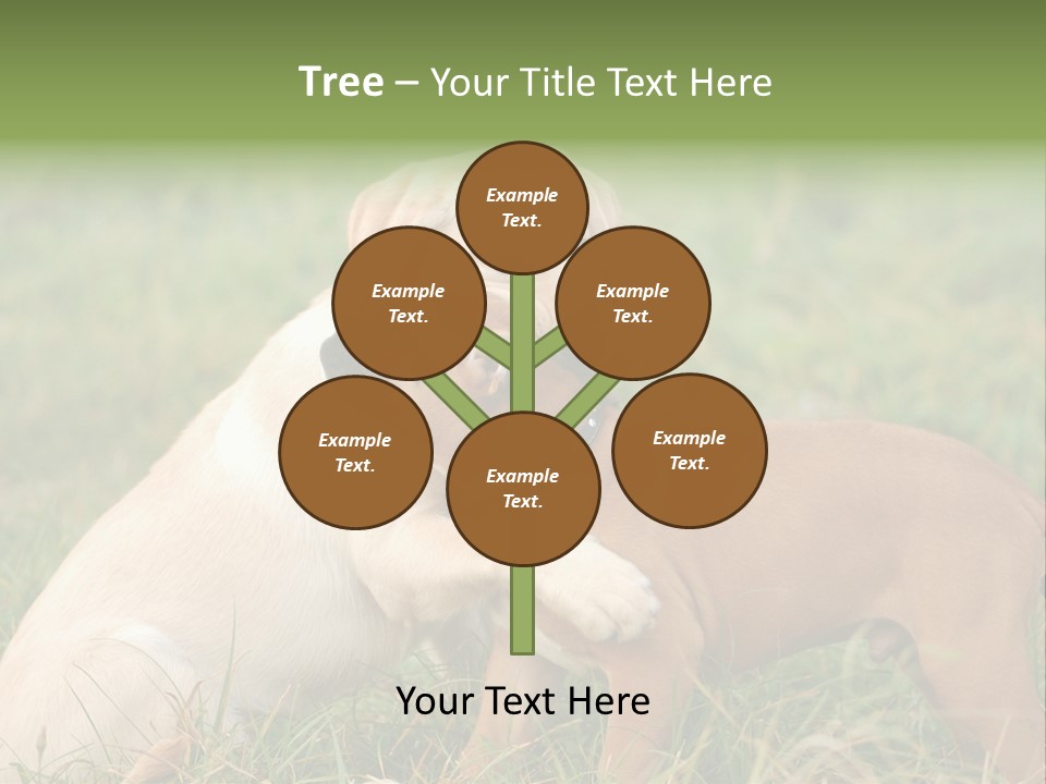 Puppy Grass Purebred PowerPoint Template