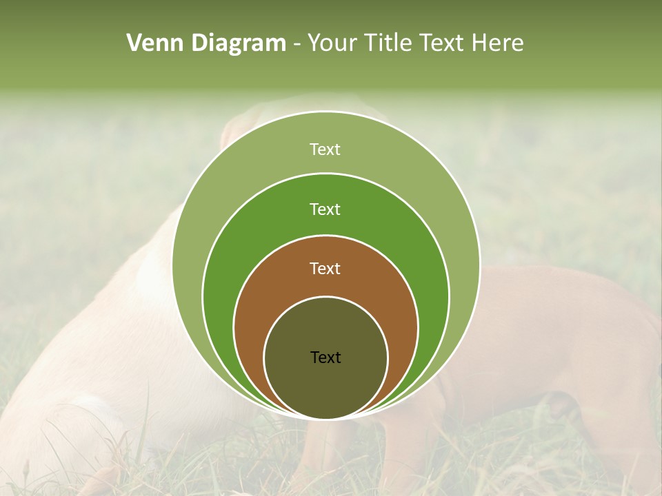 Puppy Grass Purebred PowerPoint Template