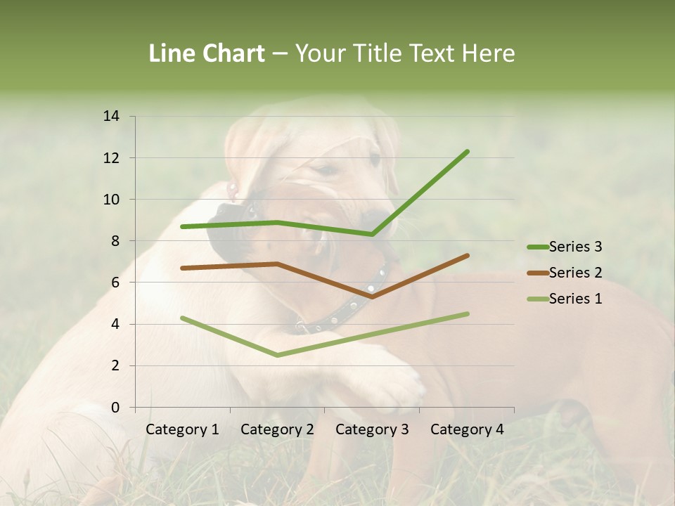 Puppy Grass Purebred PowerPoint Template