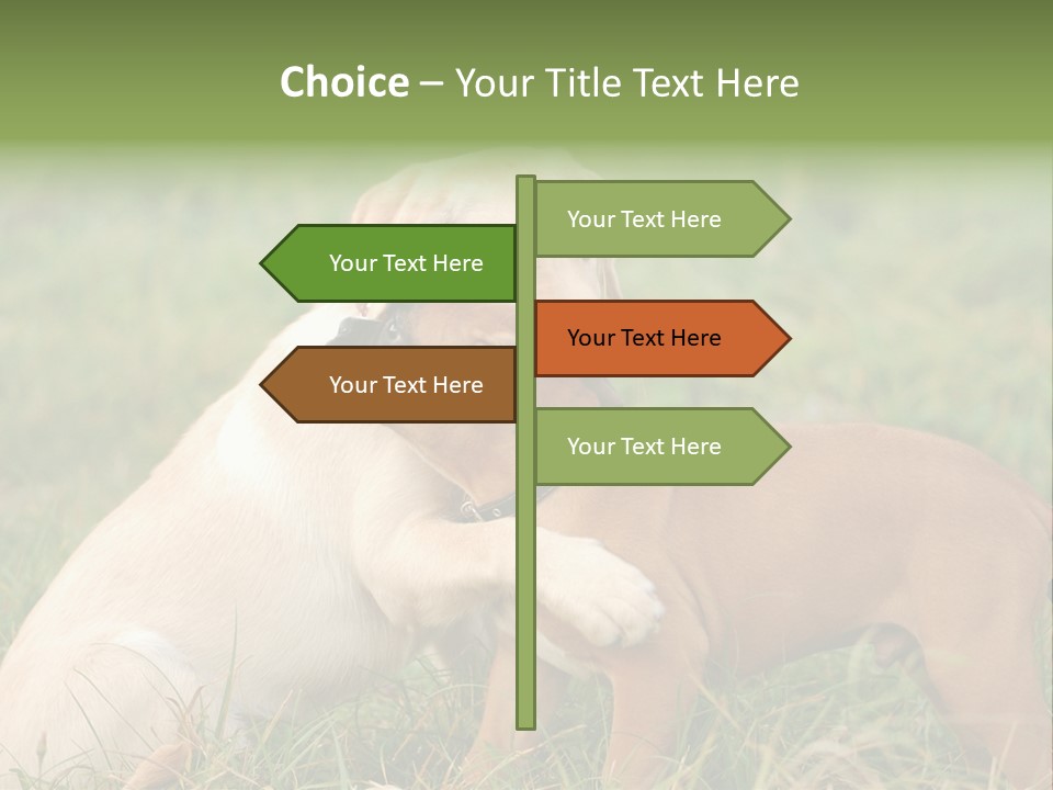 Puppy Grass Purebred PowerPoint Template