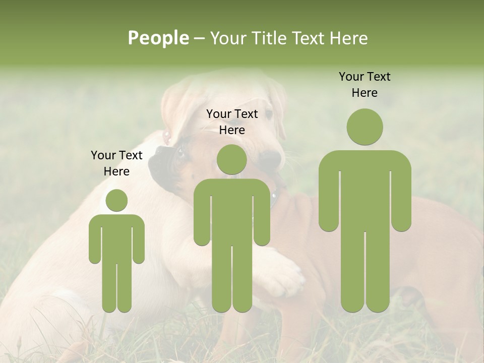 Puppy Grass Purebred PowerPoint Template