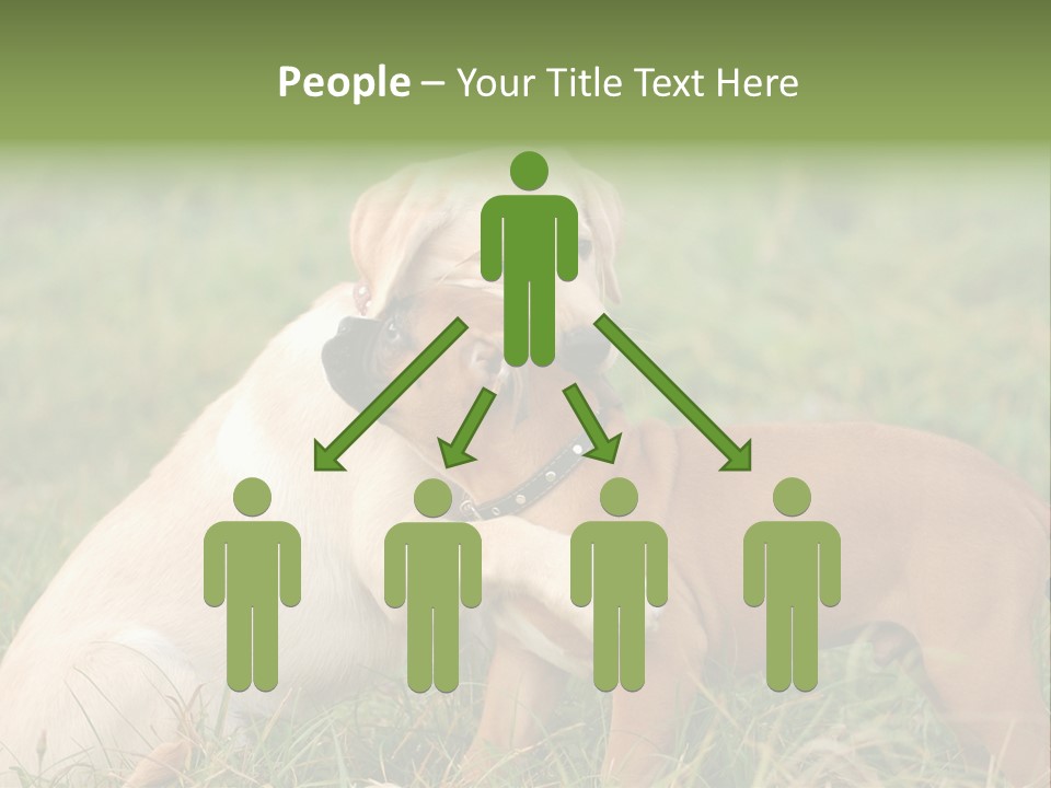 Puppy Grass Purebred PowerPoint Template