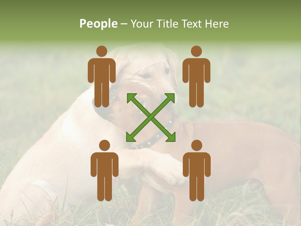 Puppy Grass Purebred PowerPoint Template