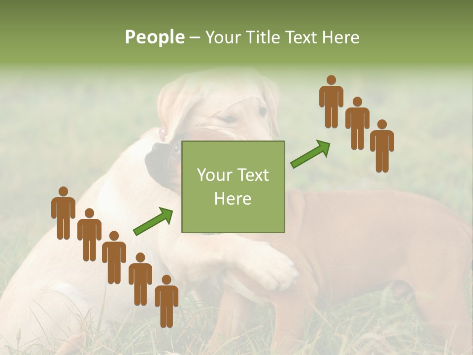 Puppy Grass Purebred PowerPoint Template