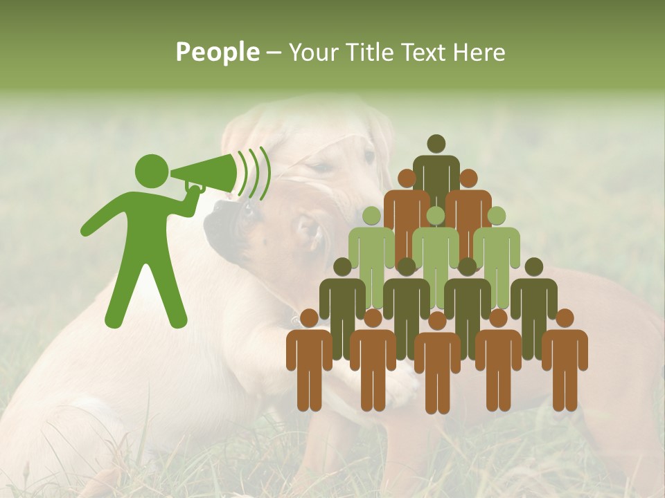 Puppy Grass Purebred PowerPoint Template