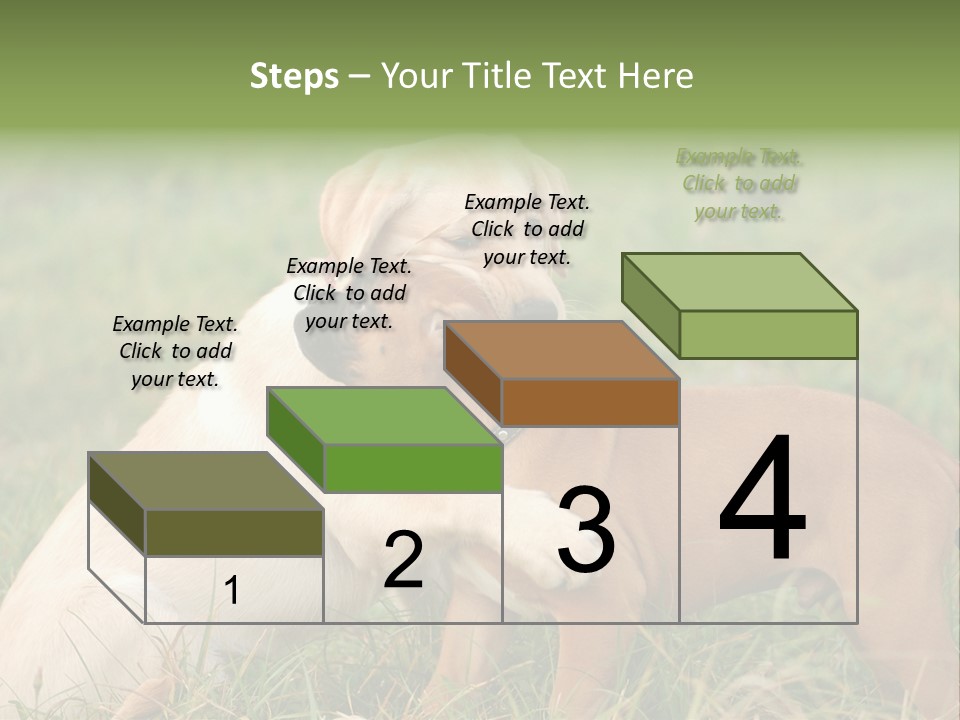 Puppy Grass Purebred PowerPoint Template