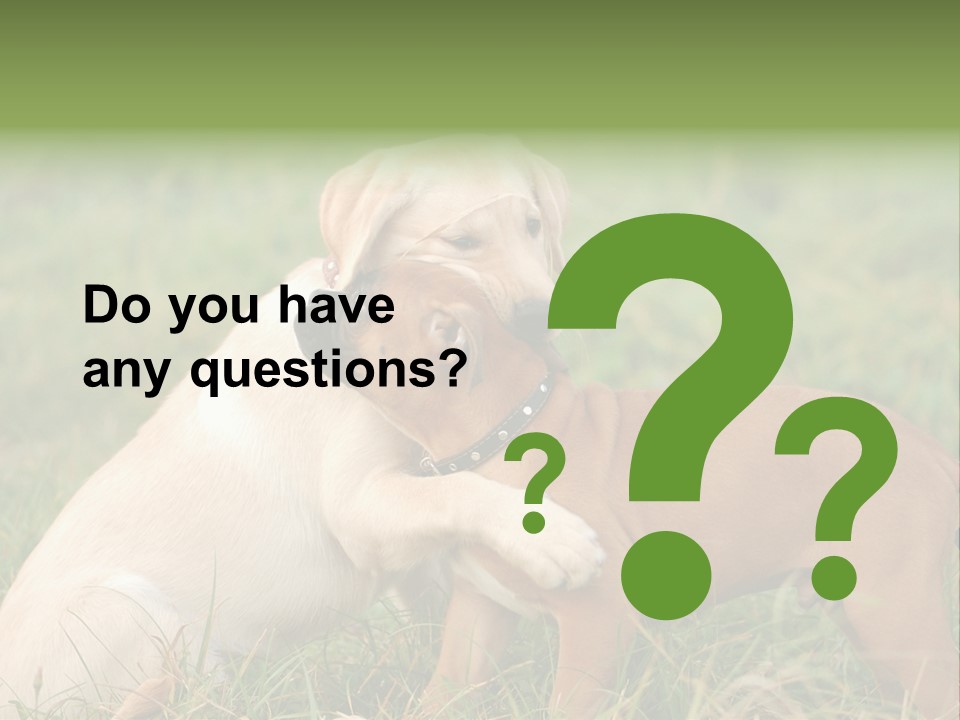 Puppy Grass Purebred PowerPoint Template