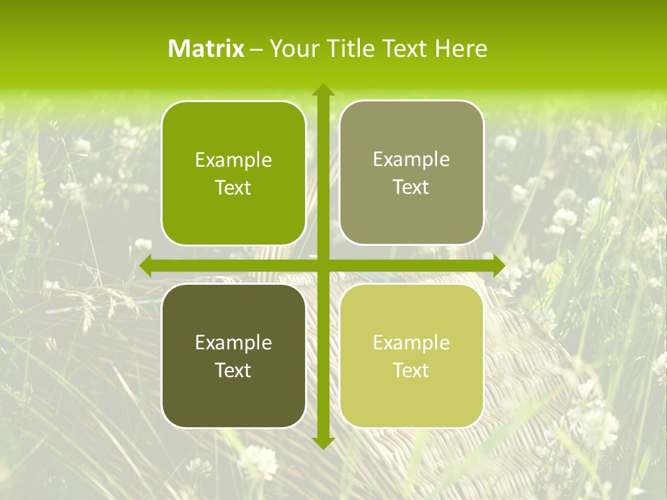 Nobody Cane Brown PowerPoint Template