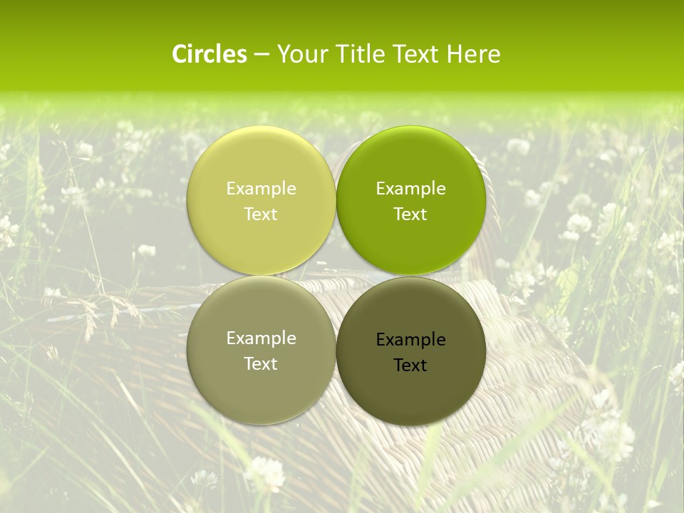 Nobody Cane Brown PowerPoint Template