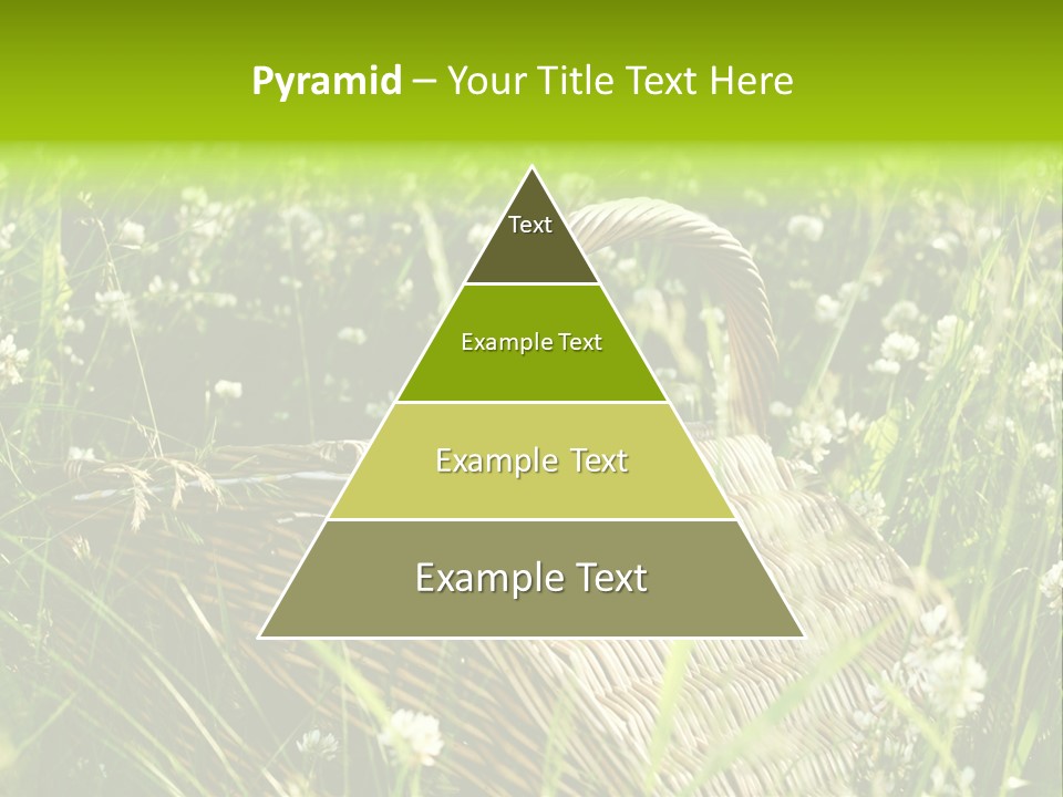 Nobody Cane Brown PowerPoint Template