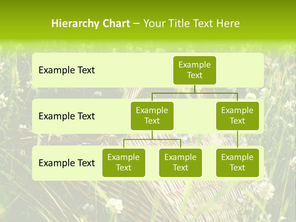 Nobody Cane Brown PowerPoint Template