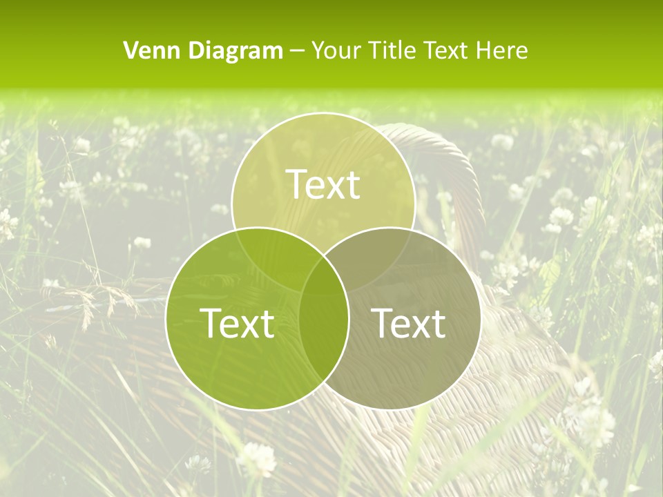 Nobody Cane Brown PowerPoint Template