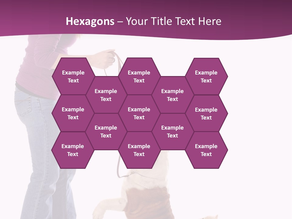 Dog Blond Teaching PowerPoint Template