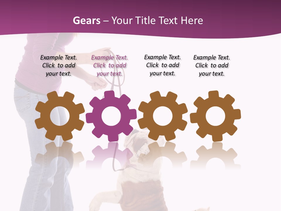 Dog Blond Teaching PowerPoint Template