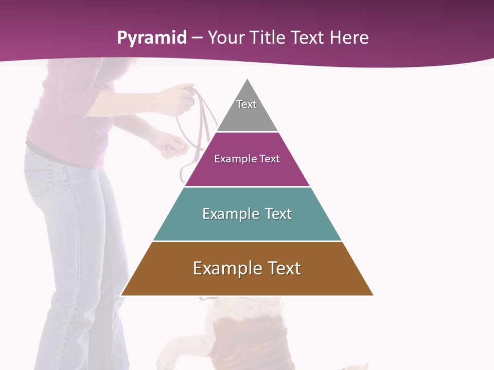 Dog Blond Teaching PowerPoint Template