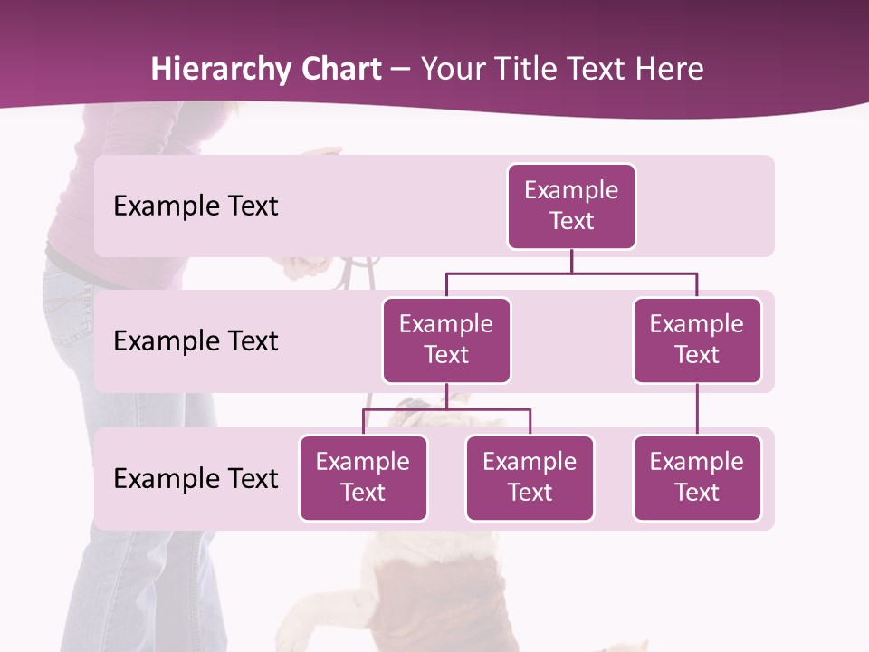 Dog Blond Teaching PowerPoint Template