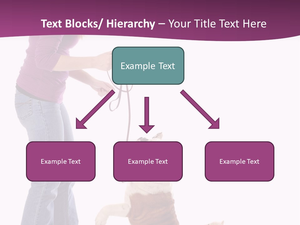 Dog Blond Teaching PowerPoint Template