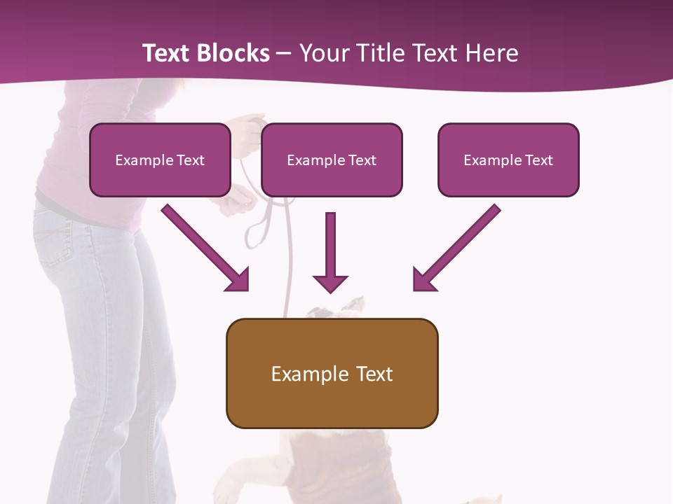 Dog Blond Teaching PowerPoint Template