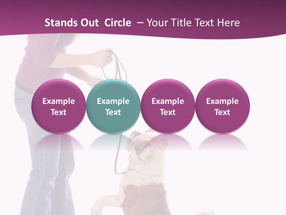 Dog Blond Teaching PowerPoint Template