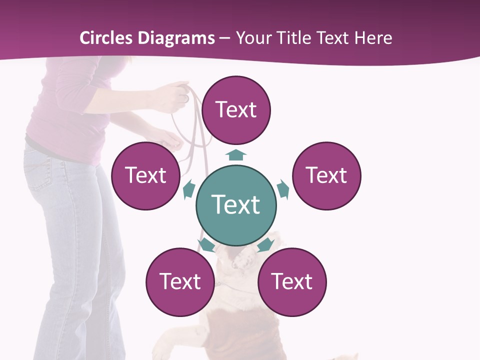 Dog Blond Teaching PowerPoint Template