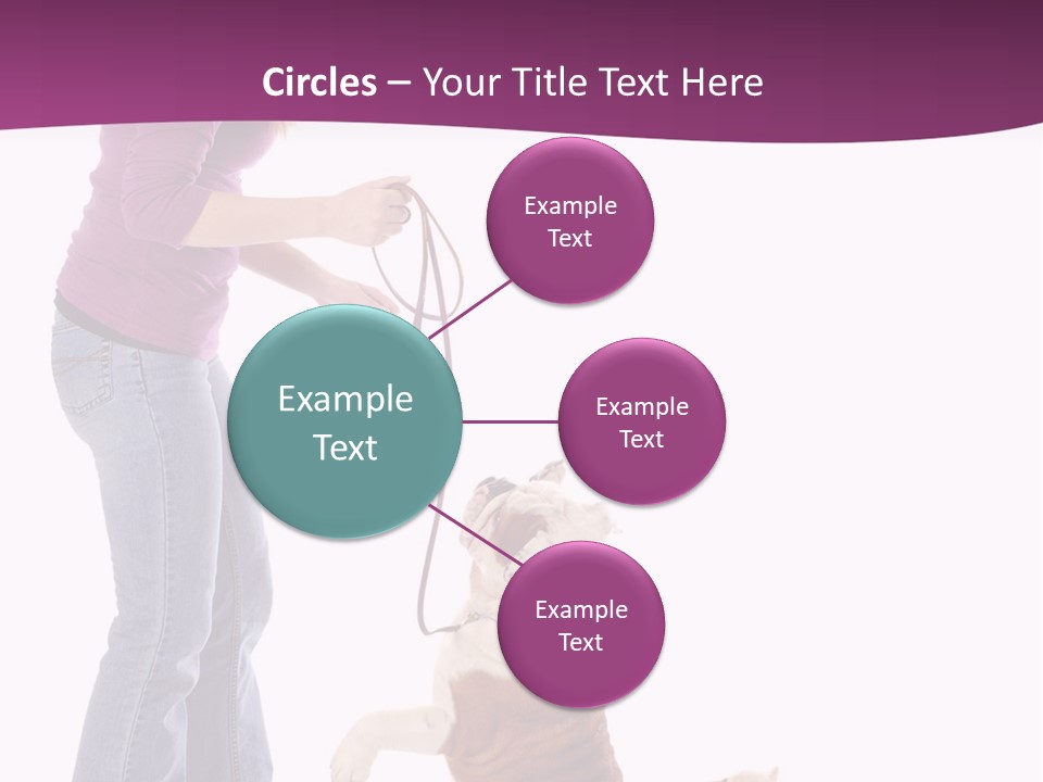 Dog Blond Teaching PowerPoint Template