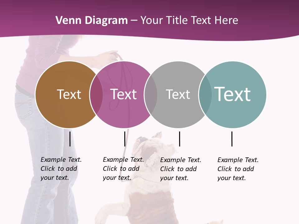 Dog Blond Teaching PowerPoint Template