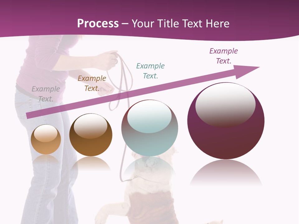 Dog Blond Teaching PowerPoint Template