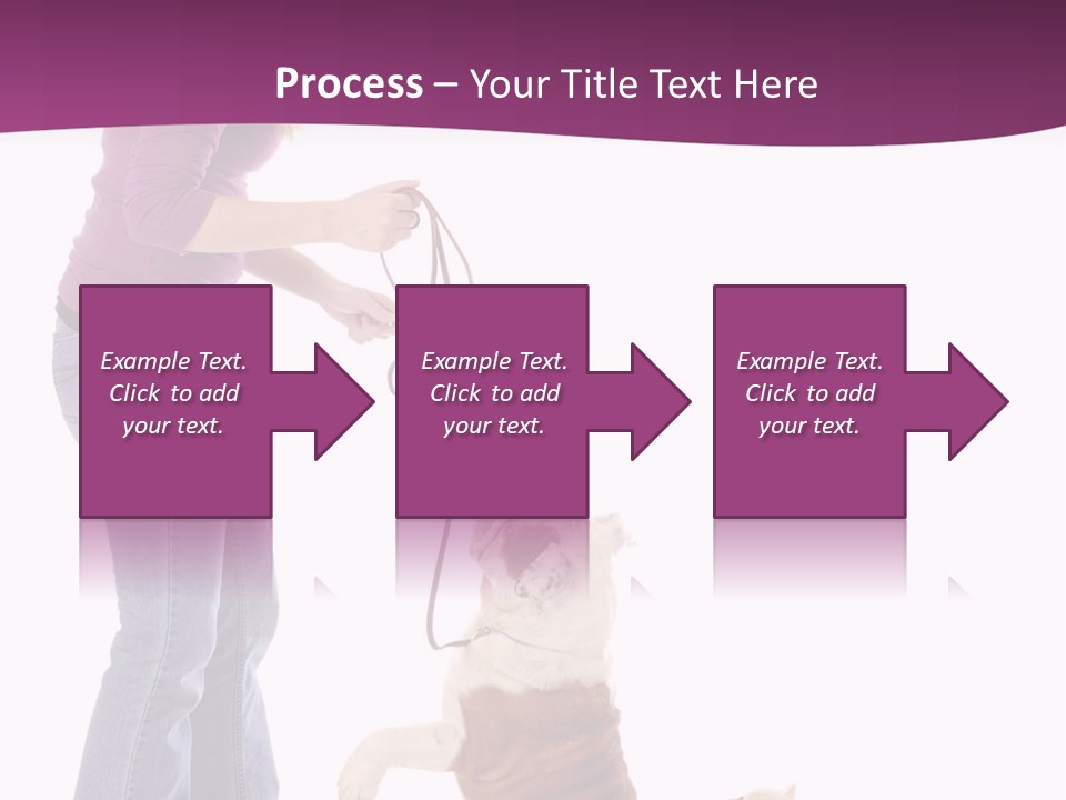 Dog Blond Teaching PowerPoint Template