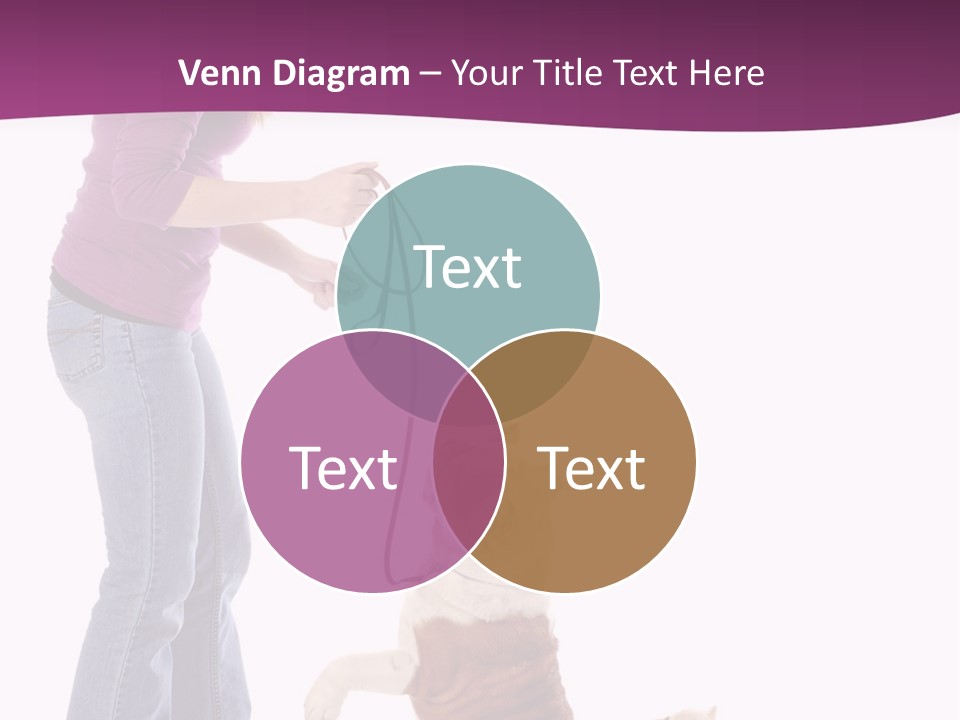 Dog Blond Teaching PowerPoint Template