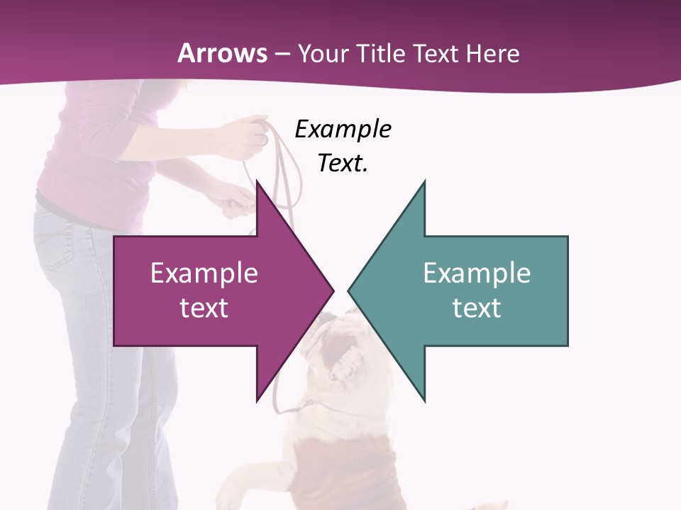 Dog Blond Teaching PowerPoint Template