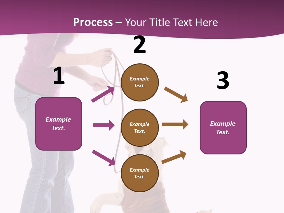 Dog Blond Teaching PowerPoint Template