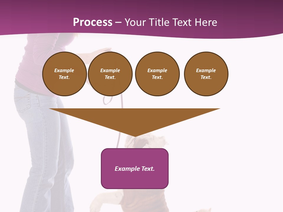 Dog Blond Teaching PowerPoint Template