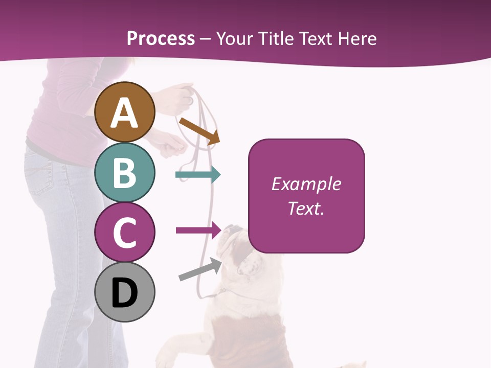 Dog Blond Teaching PowerPoint Template