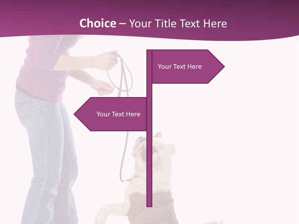 Dog Blond Teaching PowerPoint Template