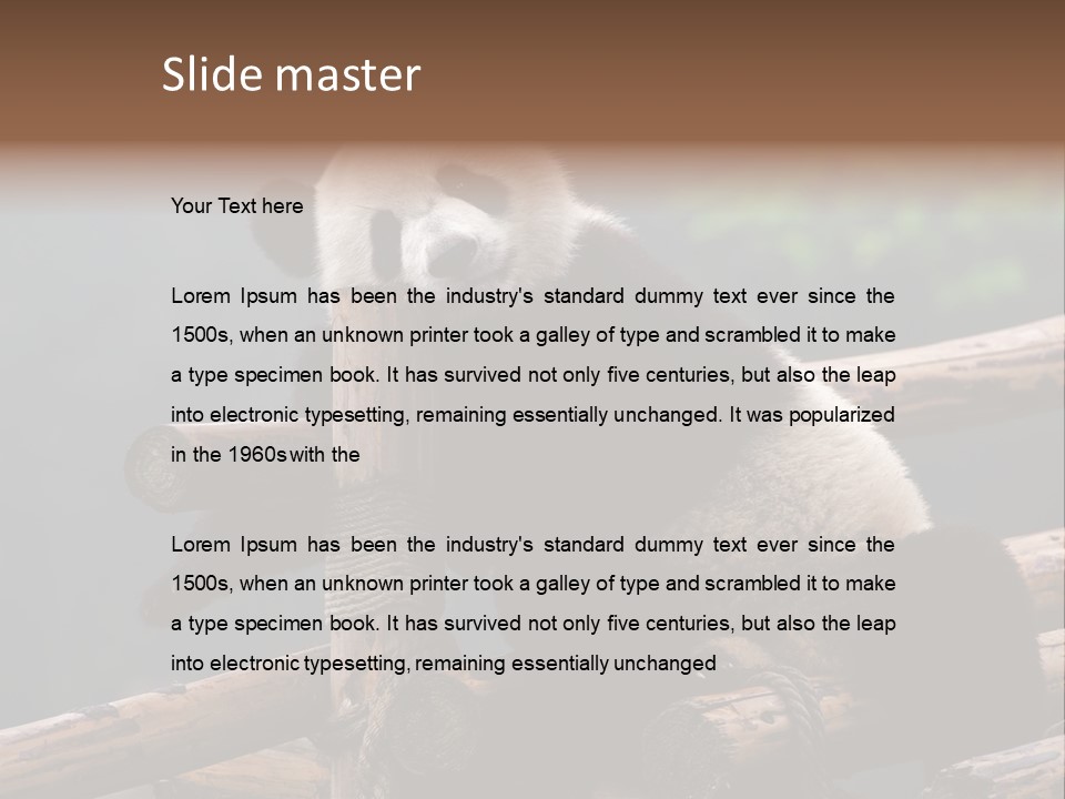 World Look Fat PowerPoint Template