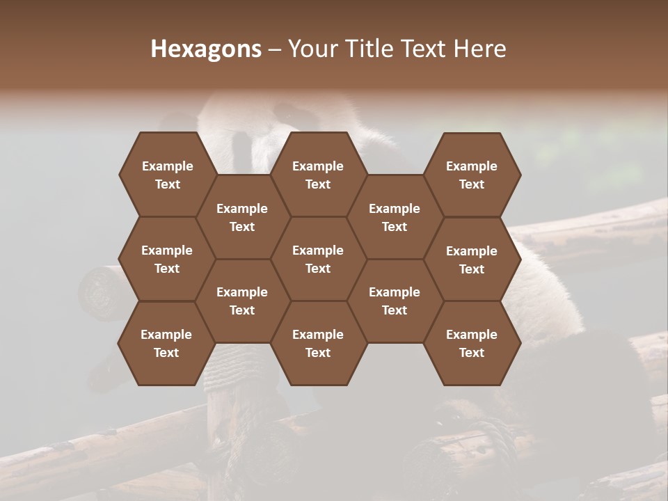 World Look Fat PowerPoint Template