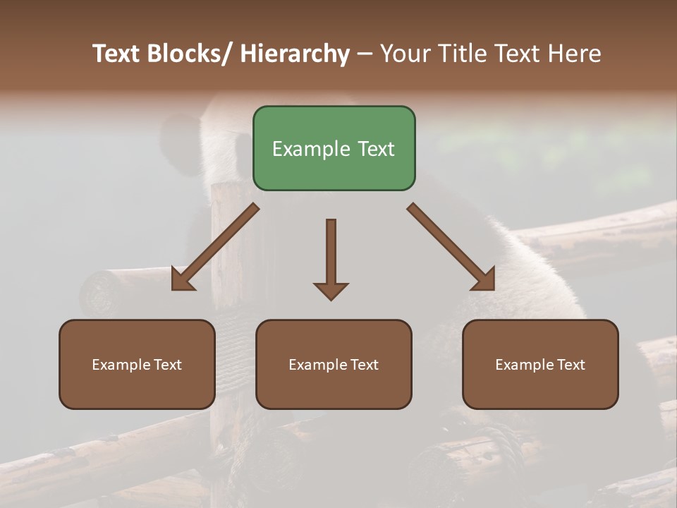 World Look Fat PowerPoint Template