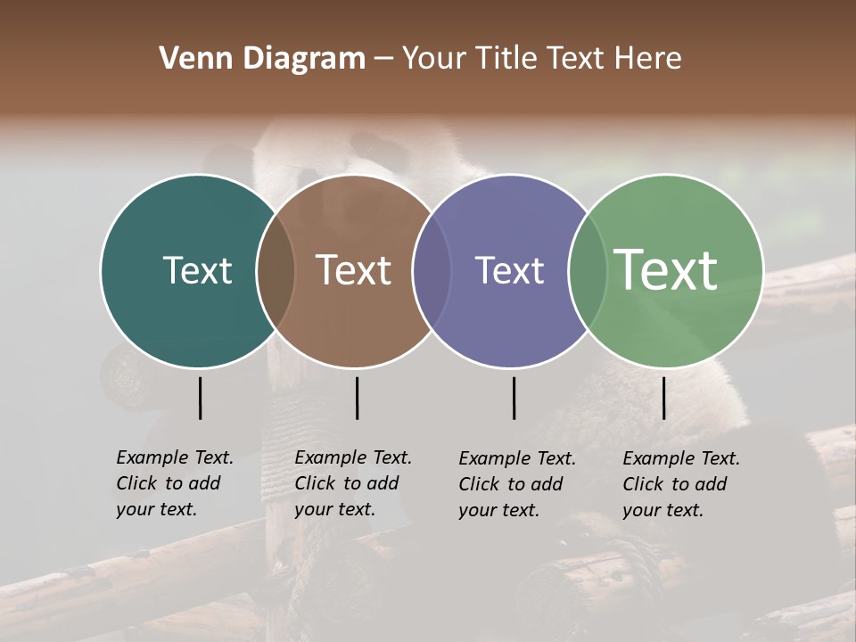 World Look Fat PowerPoint Template