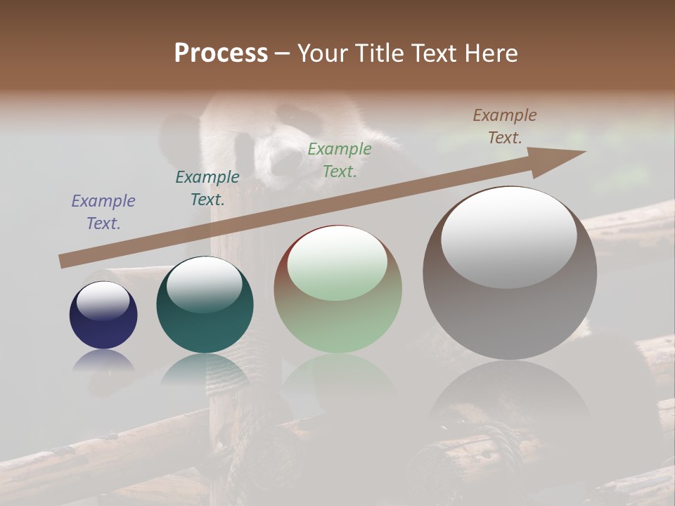 World Look Fat PowerPoint Template