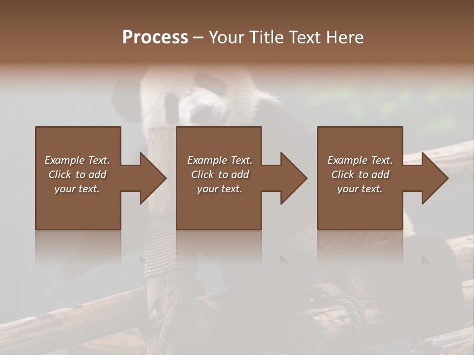 World Look Fat PowerPoint Template