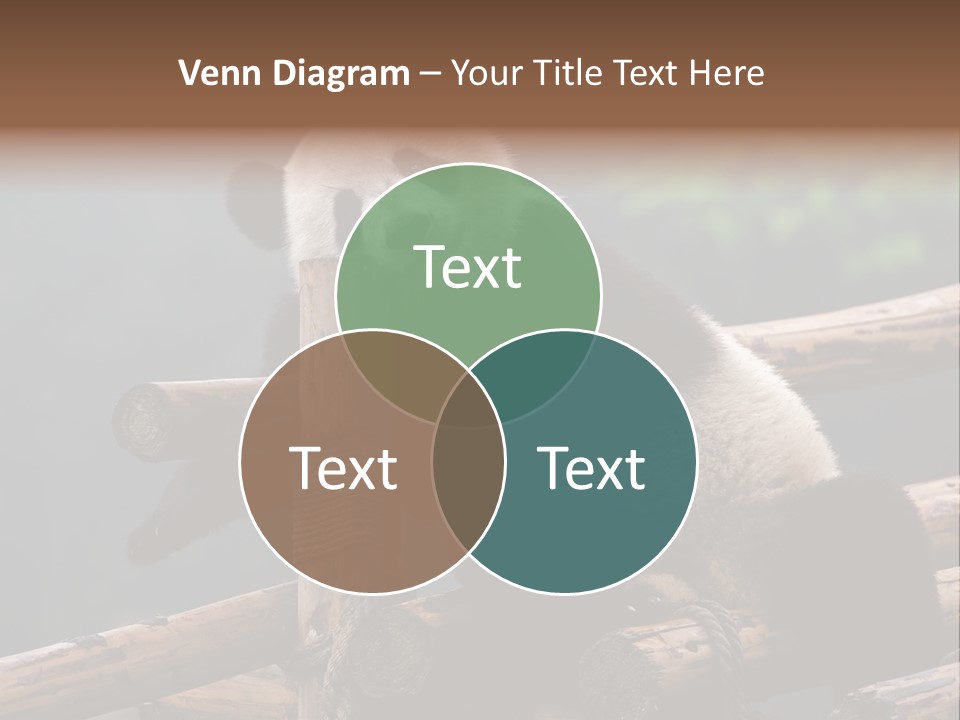 World Look Fat PowerPoint Template