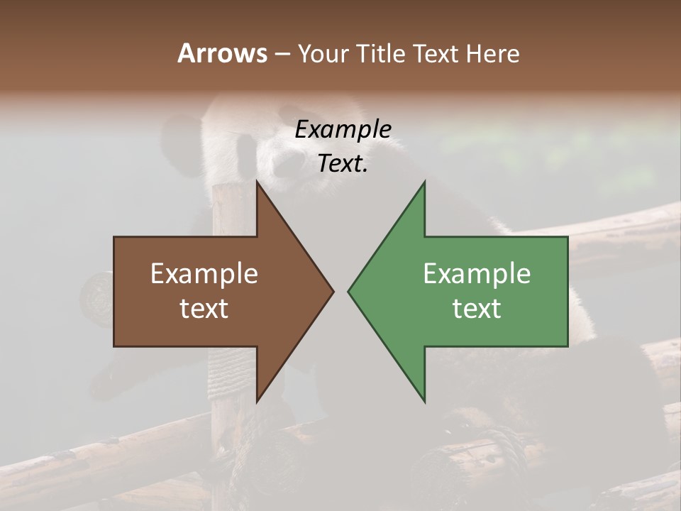 World Look Fat PowerPoint Template