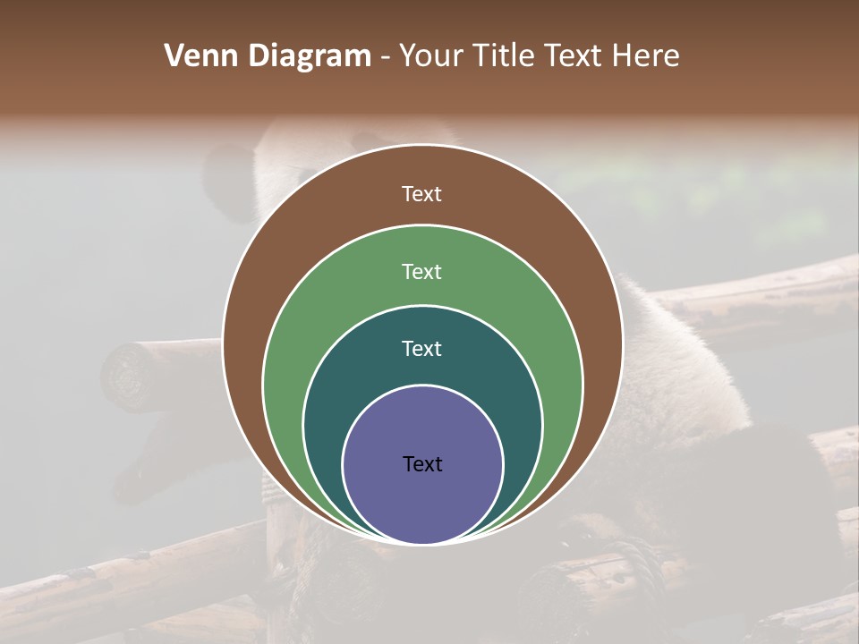 World Look Fat PowerPoint Template