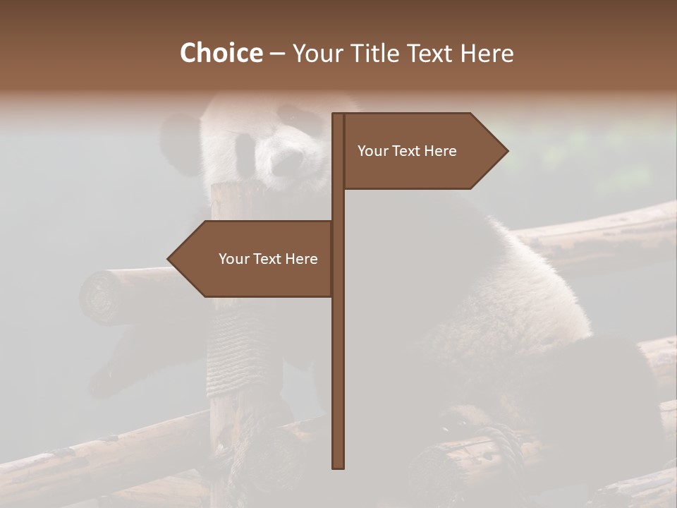 World Look Fat PowerPoint Template