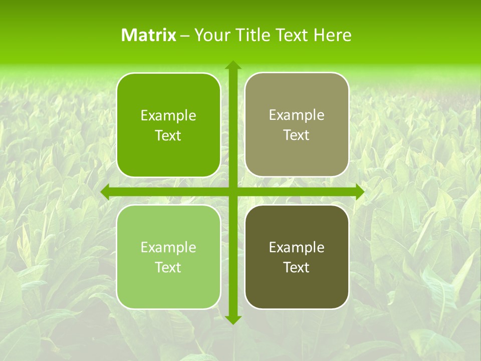 Farming Nature Plant PowerPoint Template