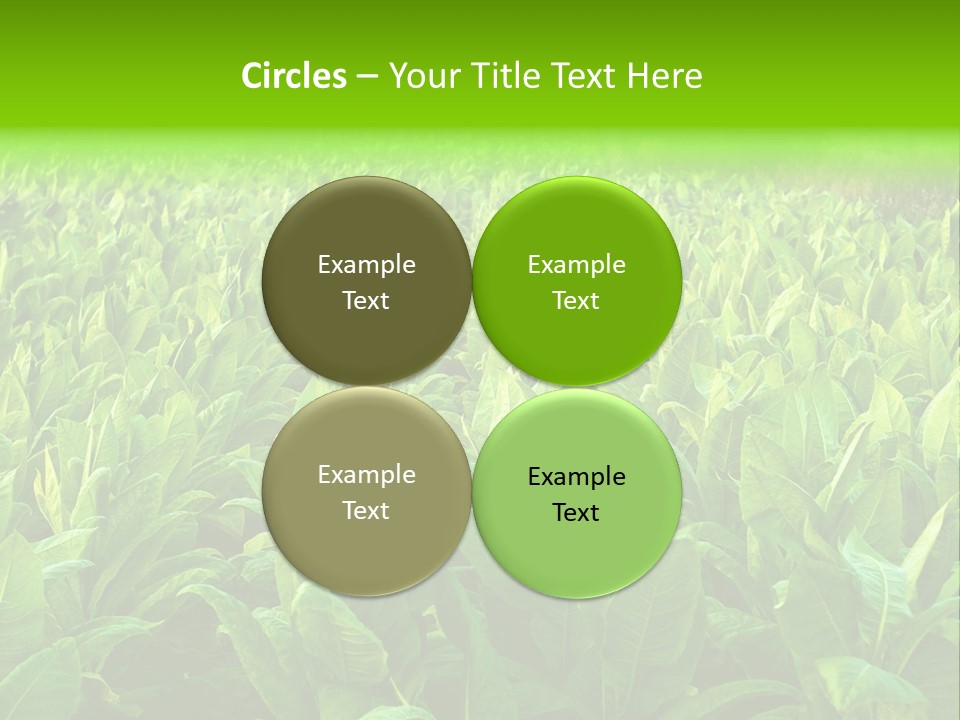 Farming Nature Plant PowerPoint Template