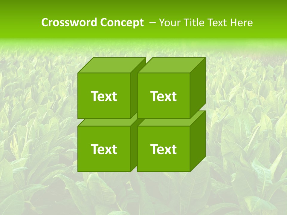 Farming Nature Plant PowerPoint Template
