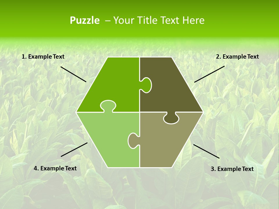 Farming Nature Plant PowerPoint Template